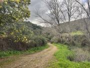 Finca/Casa Rural en venta en Huelva, Huelva Costa de la Luz