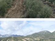 Finca/Casa Rural en venta en Jaén, Jaén