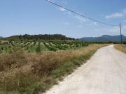 Finca/Casa Rural en venta en Jumilla, Murcia