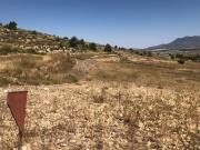 Finca/Casa Rural en venta en La Zarza, Murcia