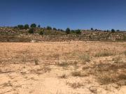 Finca/Casa Rural en venta en Jumilla, Murcia