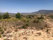 Finca/Casa Rural en venta en La Zarza, Murcia