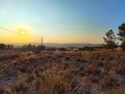 Finca/Casa Rural en venta en Jumilla, Murcia