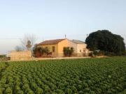 Finca/Casa Rural en venta en La Aparecida, Alicante
