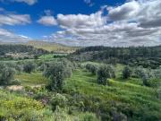 Finca/Casa Rural en venta en La Fresneda, Teruel Finca/Casa Rural en venta en La Fresneda, Teruel
