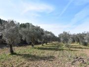 Finca/Casa Rural en venta en La Fresneda, Teruel