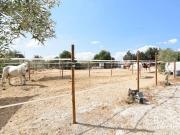 Finca/Casa Rural en venta en La Marina, Alicante Costa...