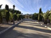 Finca/Casa Rural en venta en La Matanza, Alicante