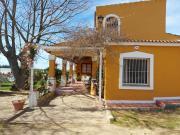 Finca/Casa Rural en venta en La Palma del Condado, Huelva
