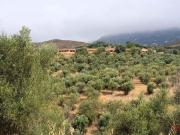 Finca/Casa Rural en venta en Lanjarón, Granada