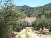 Finca/Casa Rural en venta en Las Casillas de Martos, Jaén