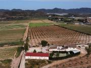 Finca/Casa Rural en venta en Lorca, Murcia