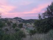 Finca/Casa Rural en venta en Lorca, Murcia