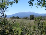 Finca/Casa Rural en venta en Maçanet de la Selva, Girona