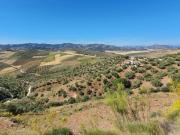 Finca/Casa Rural en venta en Málaga, Málaga Costa del Sol