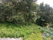 Finca/Casa Rural en venta en Marín, Pontevedra Rías Baixas