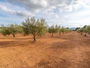 Finca/Casa Rural en venta en Masdenverge, Tarragona