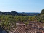 Finca/Casa Rural en venta en Mazaleón, Teruel