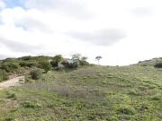 Finca/Casa Rural en venta en Medina Sidonia, Cádiz
