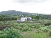 Finca/Casa Rural en venta en Medina Sidonia, Cádiz