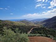 Finca/Casa Rural en venta en Itrabo, Granada Costa Tropical