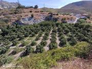 Finca/Casa Rural en venta en Molvízar, Granada Costa...