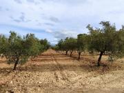 Finca/Casa Rural en venta en Monóvar / Monóver, Alicante