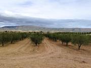 Finca/Casa Rural en venta en Monóvar / Monóver, Alicante