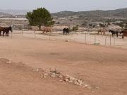 Finca/Casa Rural en venta en Monóvar / Monóver, Alicante