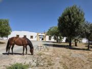Finca/Casa Rural en venta en Morón de la Frontera, Sevilla