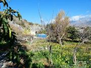 Finca/Casa Rural en venta en Motril, Granada Costa Tropical