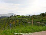 Finca/Casa Rural en venta en Olvera, Cádiz