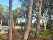 Finca/Casa Rural en venta en Orihuela Costa, Alicante...