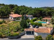 Finca/Casa Rural en venta en Ourense, Orense