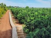 Finca/Casa Rural en venta en Picassent, Valencia
