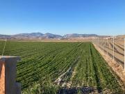 Finca/Casa Rural en venta en Pinos Puente, Granada