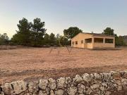 Finca/Casa Rural en venta en Pinoso, Alicante