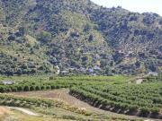 Finca/Casa Rural en venta en Pizarra, Málaga