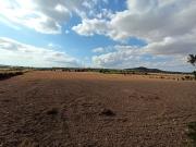 Finca/Casa Rural en venta en Porreres, Mallorca