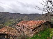 Finca/Casa Rural en venta en Proaza, Asturias