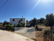 Finca/Casa Rural en venta en Ronda, Málaga