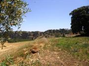 Finca/Casa Rural en venta en Ronda, Málaga