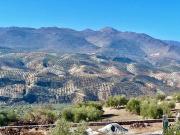 Finca/Casa Rural en venta en Salar, Granada