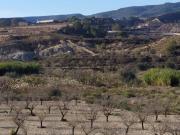 Finca/Casa Rural en venta en Orihuela, Alicante