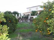 Finca/Casa Rural en venta en San Pablo de Buceite, Cádiz