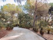 Finca/Casa Rural en venta en San Roque, Cádiz Costa de...