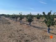 Finca/Casa Rural en venta en Santa Bàrbara, Tarragona