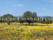 Finca/Casa Rural en venta en Santa María del Camí, Mallorca