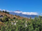 Finca/Casa Rural en venta en Santa Ursula, Tenerife