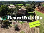 Finca/Casa Rural en venta en Sencelles, Mallorca